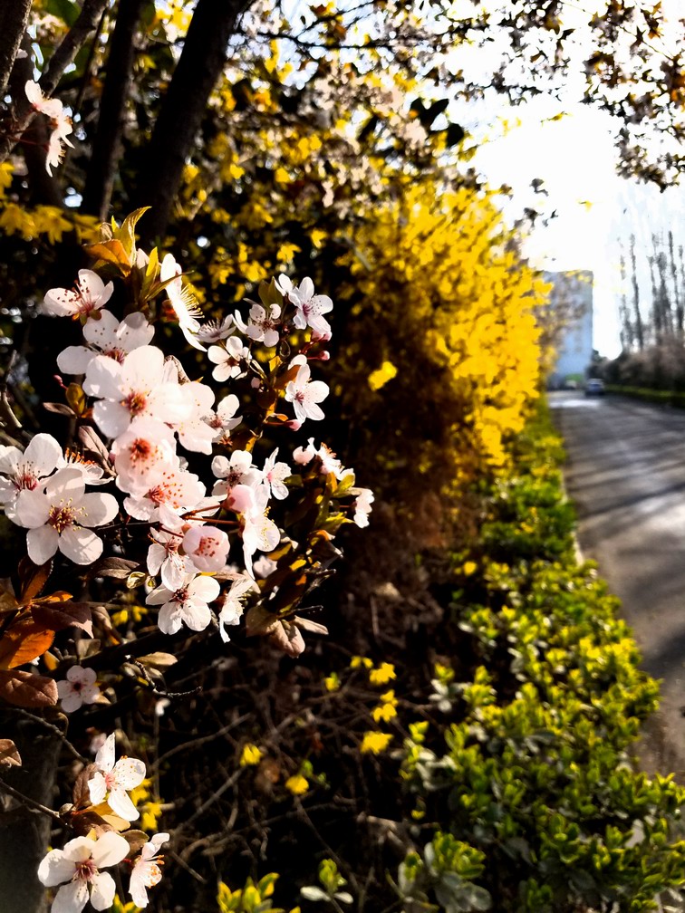 �{����С 20170323_084201.jpg